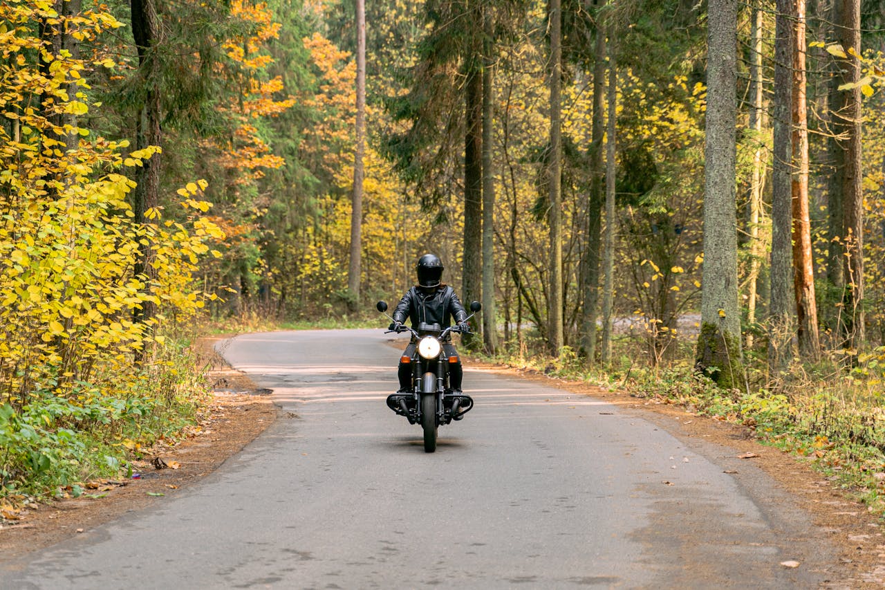A biker in black leather rides through a scenic autumn forest road.