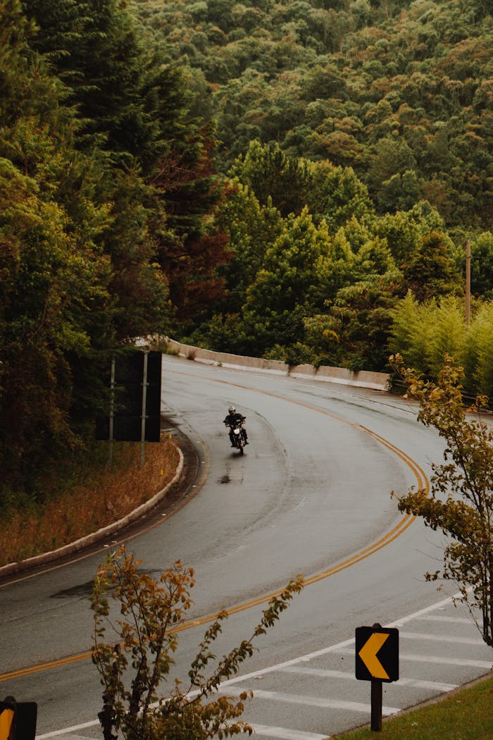 A motorcyclist rides through a winding road surrounded by dense forest during the day.